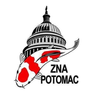 zna potomac koi club